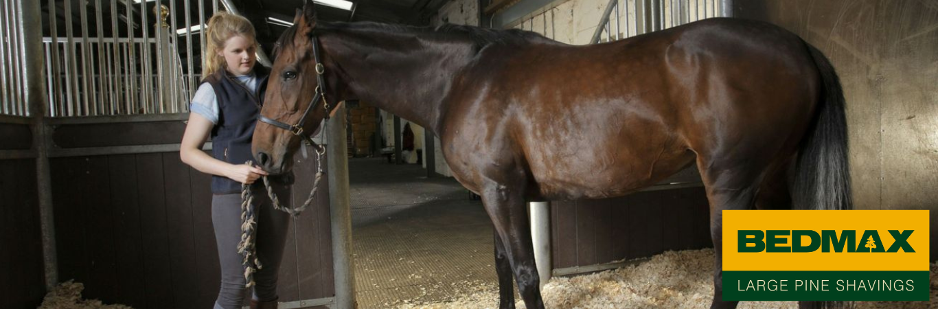 Bedmax Certifcation in Bedding Management from the British Grooms Association