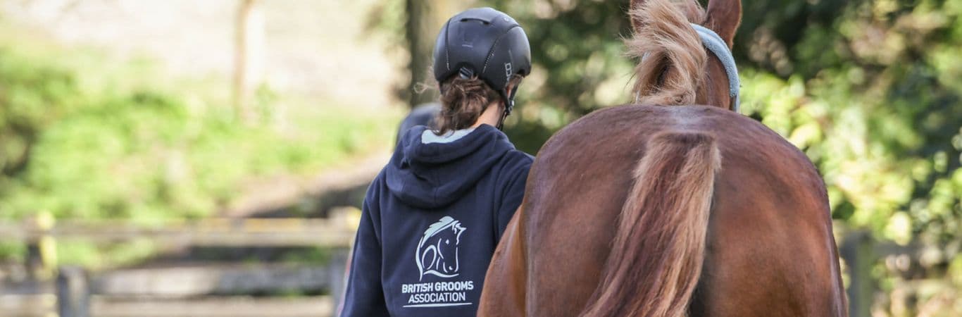 British Grooms Association Member leading horse