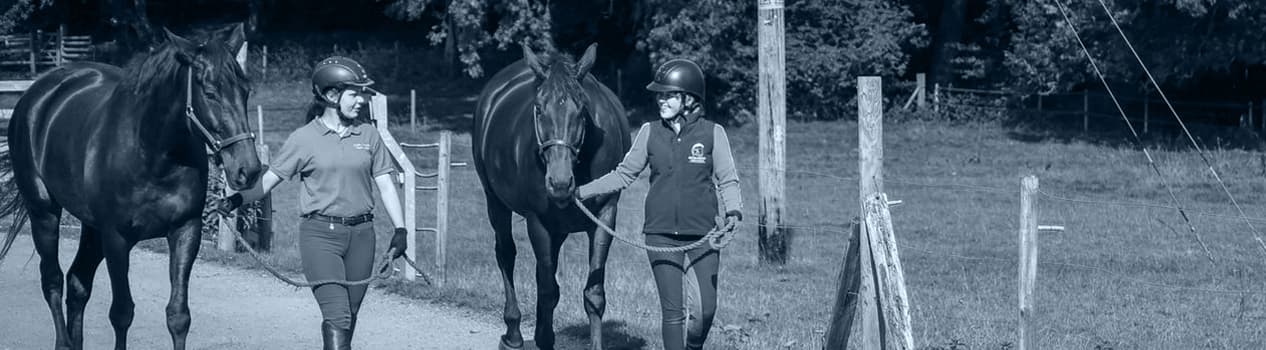 British Grooms Association members leading horses