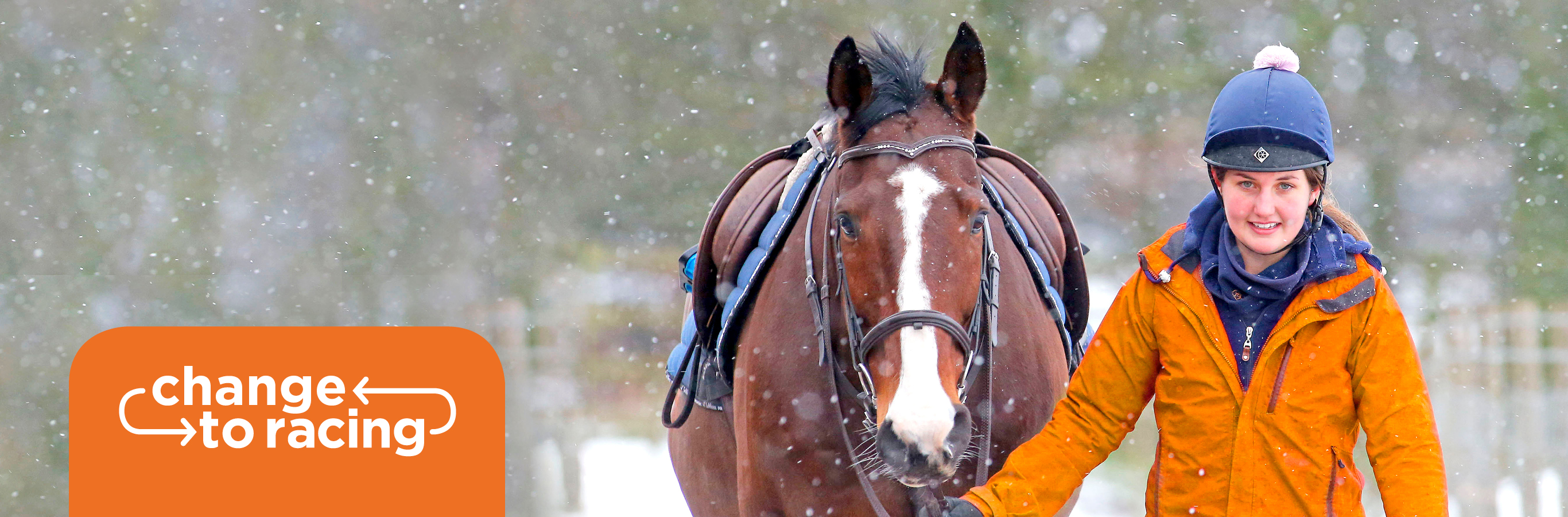 horse racing groom with British Grooms Association