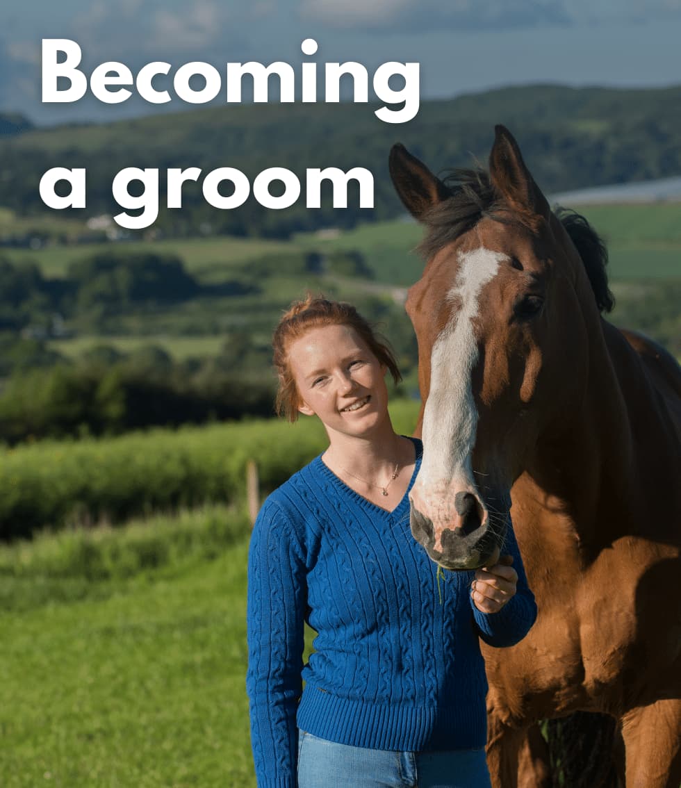 Girl becomes a groom working with horses