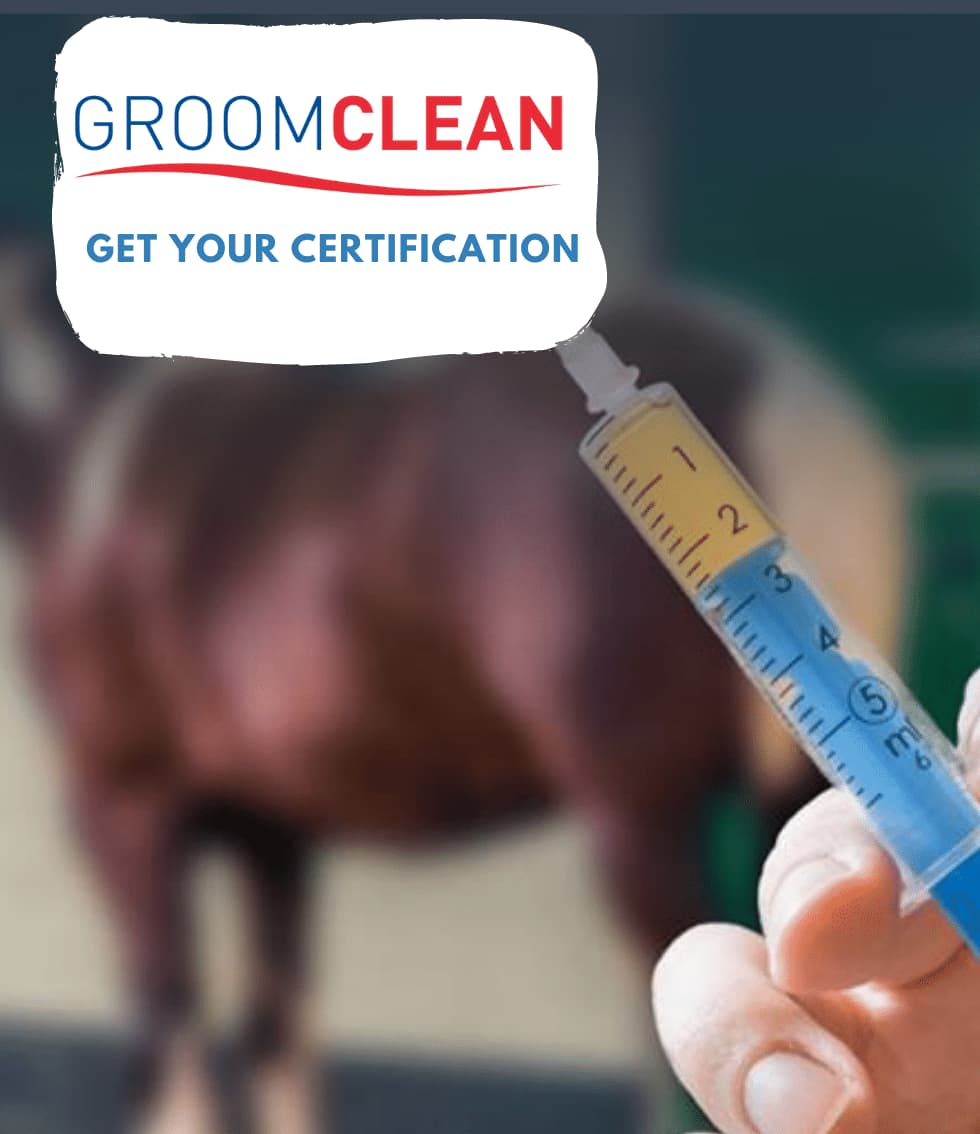 BGA Groom Clean