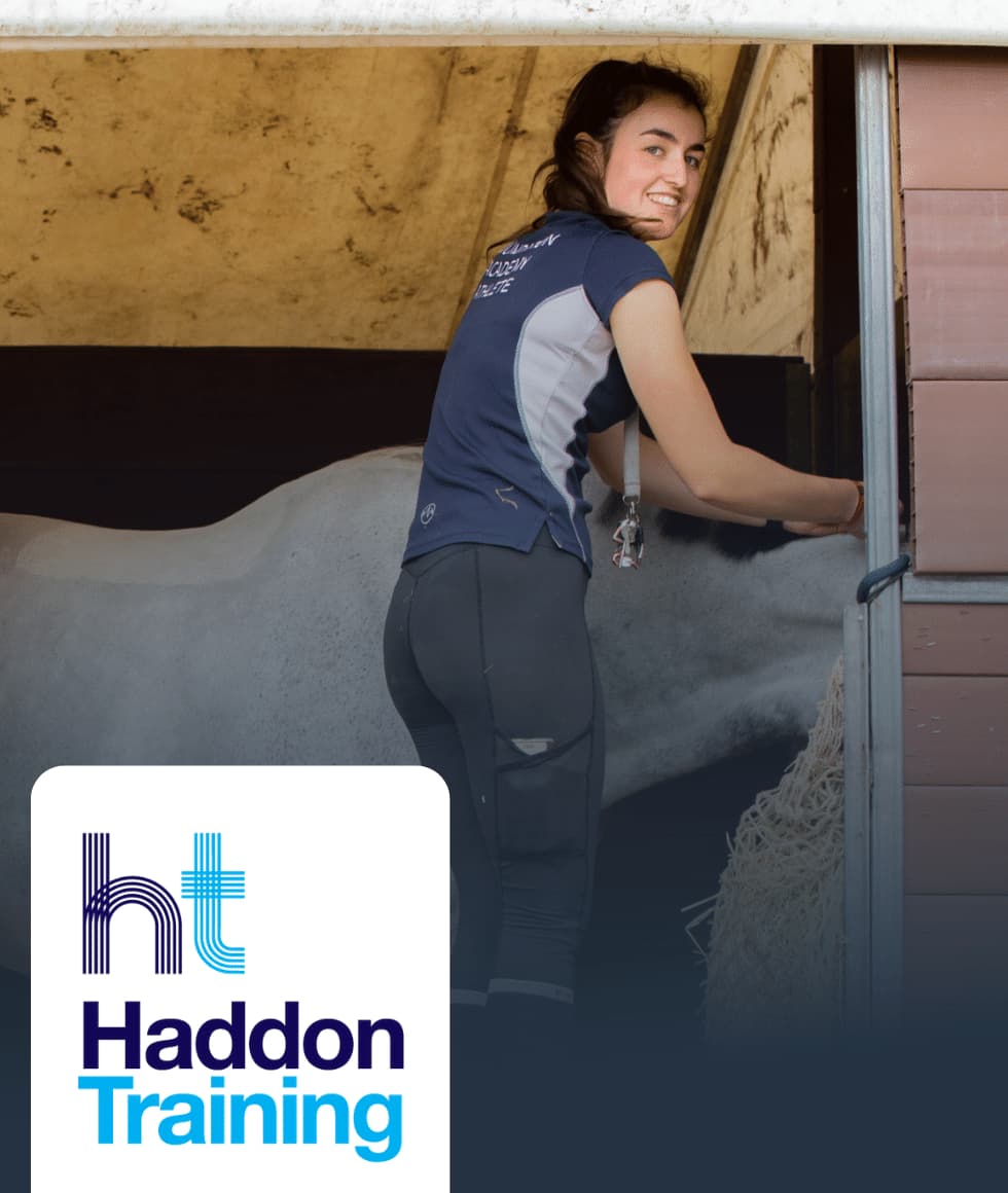 Groom on an equine horse care apprenticeship