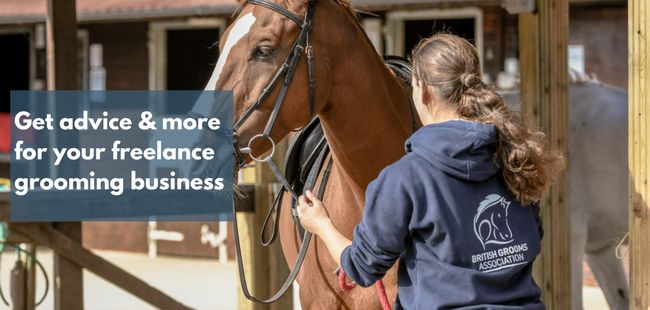 Freelance groom gets advice from British Grooms Association