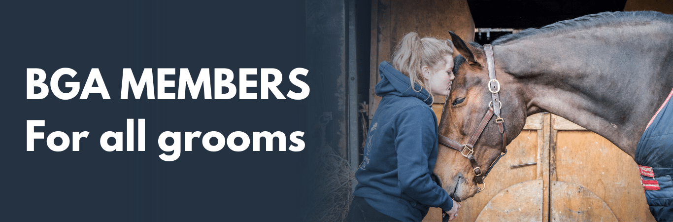 BGA members are grooms who work with horses