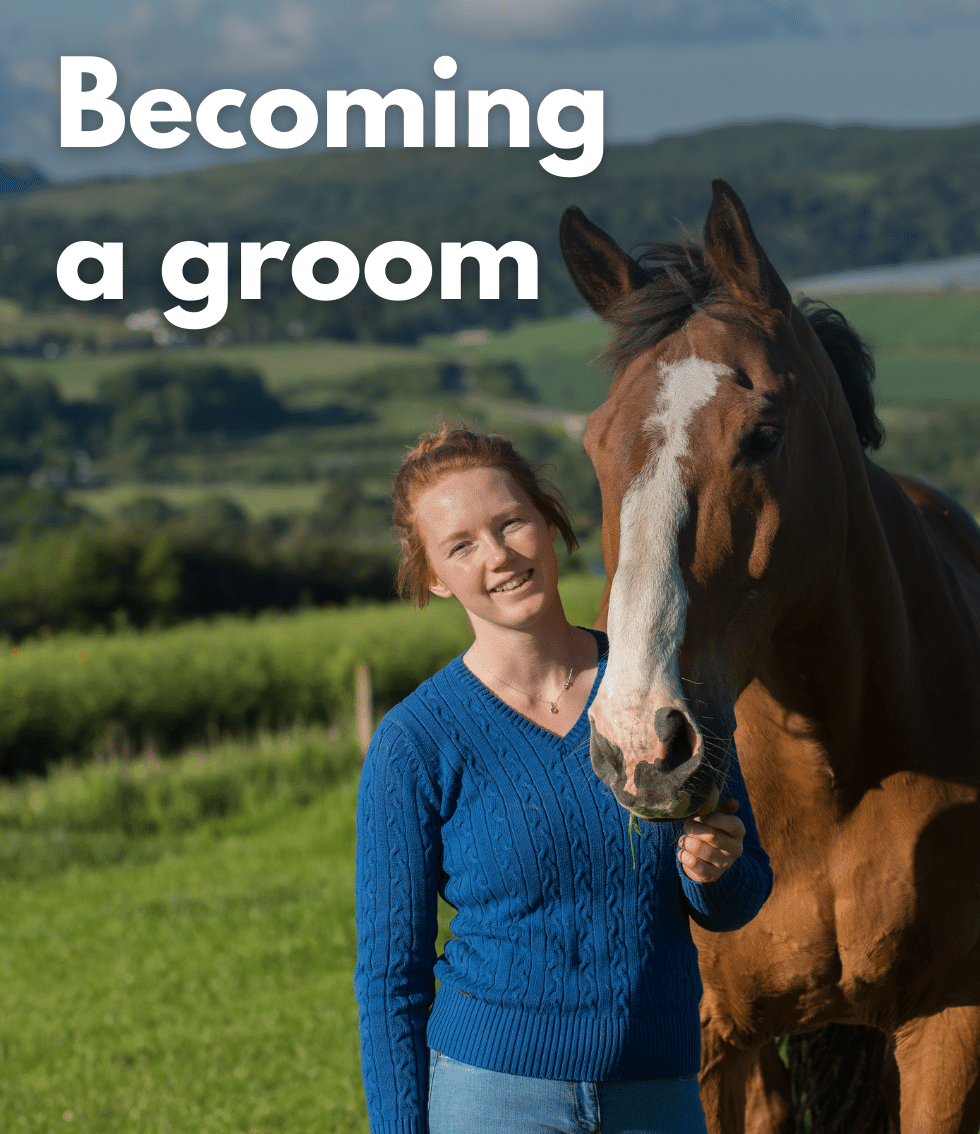 Girl becomes a groom working with horses
