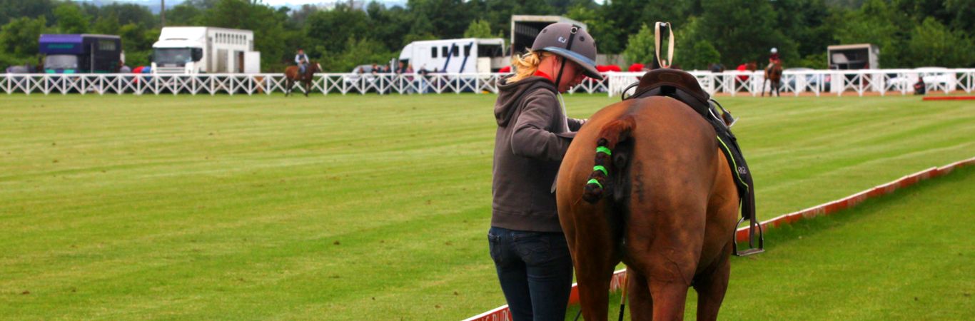 Become a polo groom with British Grooms Association