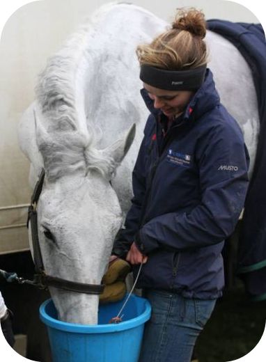 British Grooms Association member with horse