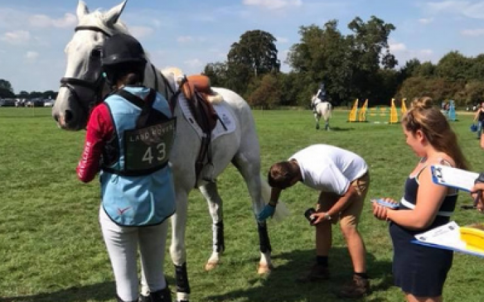 Blog Freelance Groom David Burton on his Burghley