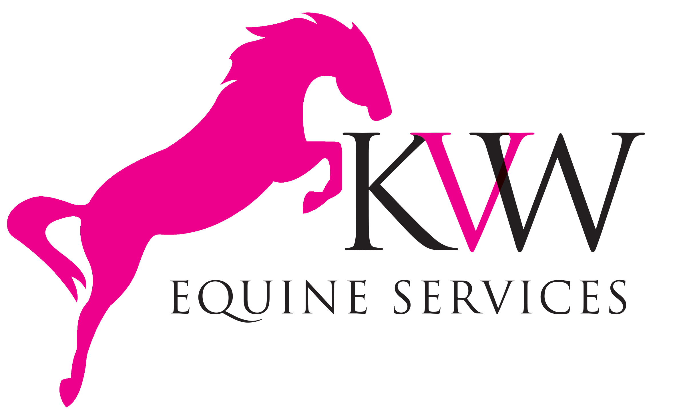 Freelancer Logo